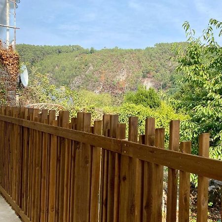 Magnifique Appartement 2/4 Pers - Le Saint Leo Buitenkant foto