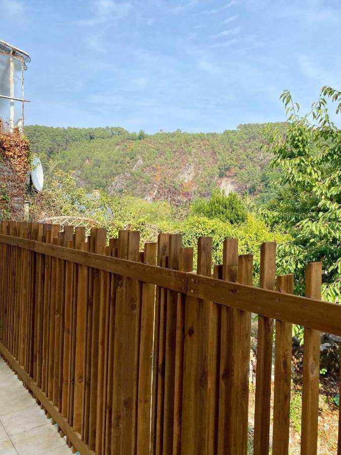 Magnifique Appartement 2/4 Pers - Le Saint Leo Buitenkant foto